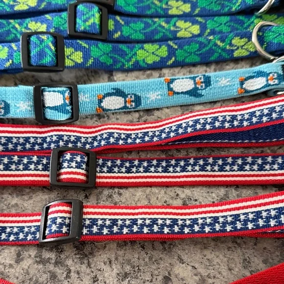 21 Vibrant Multicolor Dog Collars used